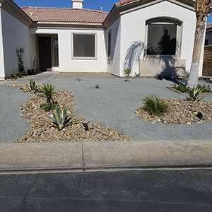 Hardscape & Desert Landscape